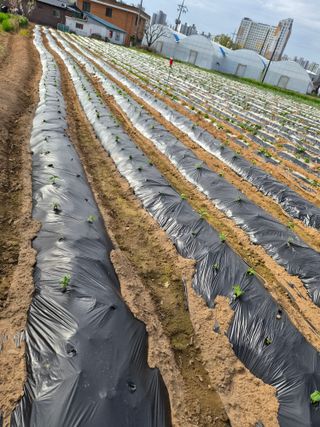 김동현님의 자유주제 · 자유게시판 작성글 사진