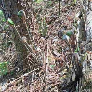 오영도님의 자유주제 · 자유게시판 작성글 사진