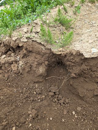 농촌사랑님의 자유주제 · 자유게시판 작성글 사진