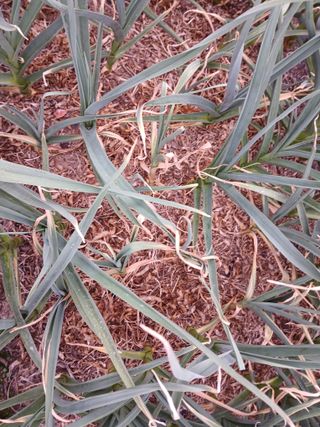 최남옥님의 자유주제 · 자유게시판 작성글 사진