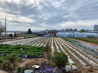 김동현님의 자유주제·자유게시판 작성글 사진