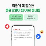 누보농장님의 자유주제·자유게시판 작성글 사진