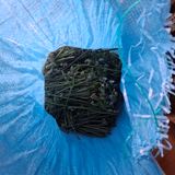 오영도님의 자유주제·자유게시판 작성글 사진