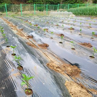이창화님의 자유주제 · 자유게시판 작성글 사진