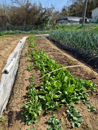 Kns4324님의 자유주제 · 자유게시판 작성글 사진