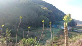 산골촌부님의 자유주제 · 자유게시판 작성글 사진