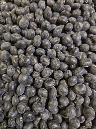 5도2촌님의 자유주제 · 자유게시판 작성글 사진