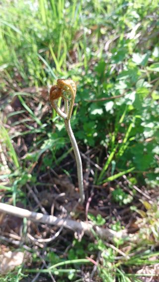 산골촌부님의 자유주제 · 자유게시판 작성글 사진