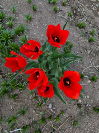 Kns4324님의 자유주제 · 자유게시판 작성글 사진