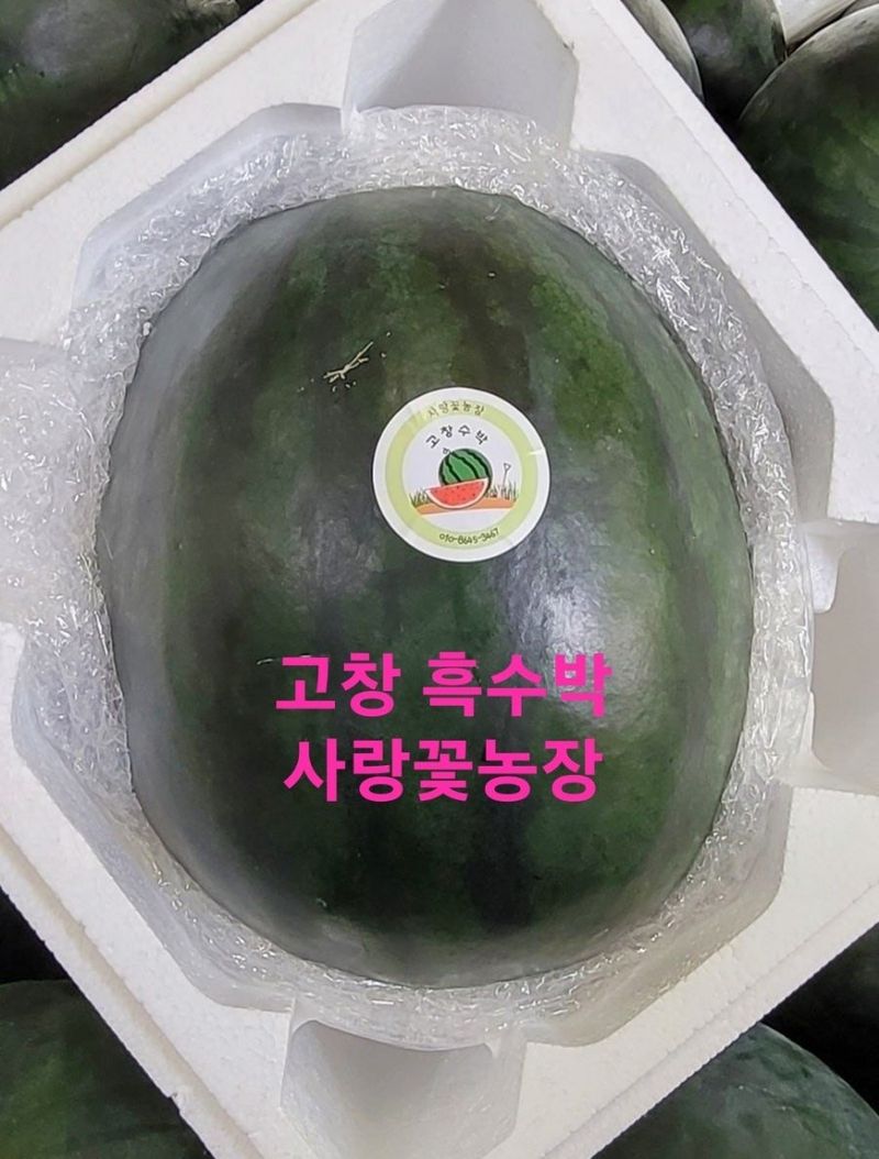 사랑꽃농장님의 장터 판매 상품 [고창 흑수박(블랙 골드)6.7.8kg급(오리지닐)] 첨부 사진