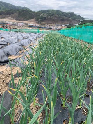 선우갑님의 자유주제 · 자유게시판 작성글 사진