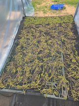 매미농장님의 자유주제·자유게시판 작성글 사진