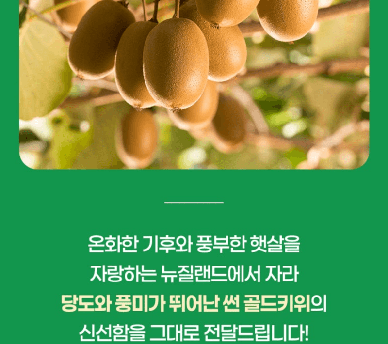 스피드번님의 장터 판매 상품 [제스프리 골드키위 ] 첨부 사진