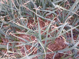 최남옥님의 자유주제 · 자유게시판 작성글 사진