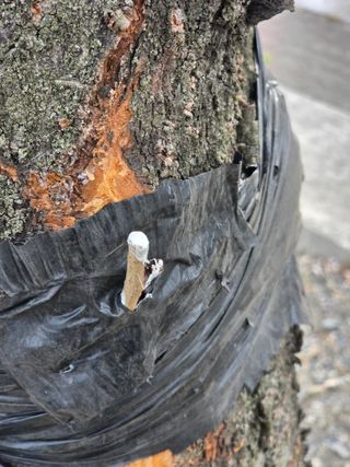 김용대님의 자유주제 · 자유게시판 작성글 사진