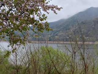 별빛농장지기님의 자유주제 · 자유게시판 작성글 사진