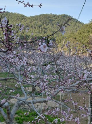 별빛농장지기님의 자유주제·자유게시판 작성글 사진