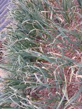 최남옥님의 자유주제·자유게시판 작성글 사진