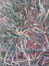 팜모닝 자유주제·자유게시판 게시글 이미지