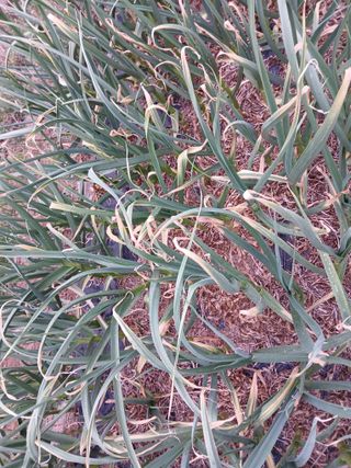 최남옥님의 자유주제 · 자유게시판 작성글 사진