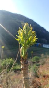 산골촌부님의 자유주제·자유게시판 작성글 사진