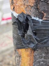 팜모닝 자유주제·자유게시판 게시글 이미지