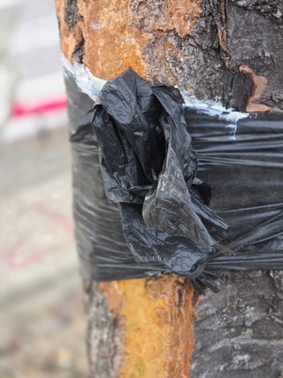 김용대님의 자유주제 · 자유게시판 작성글 사진