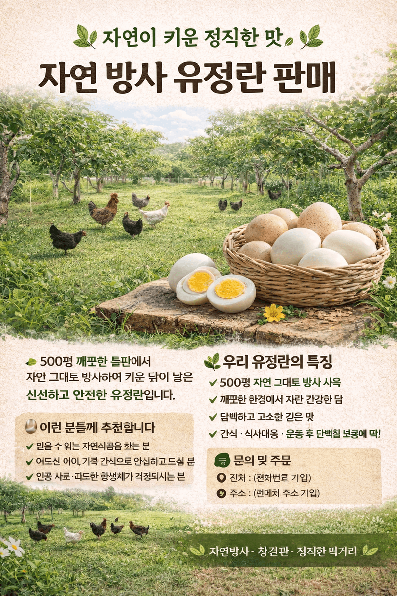 달마루님의 장터 판매 상품 [청계란, 토종란(자연방사)] 첨부 사진