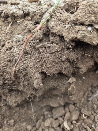 농촌사랑님의 자유주제 · 자유게시판 작성글 사진