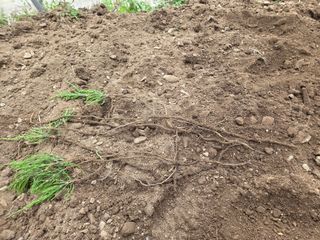 농촌사랑님의 자유주제 · 자유게시판 작성글 사진