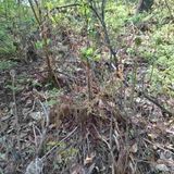 오영도님의 자유주제·자유게시판 작성글 사진