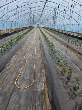 노고단님의 자유주제 · 자유게시판 작성글 사진