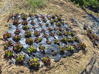 Kns4324님의 자유주제 · 자유게시판 작성글 사진