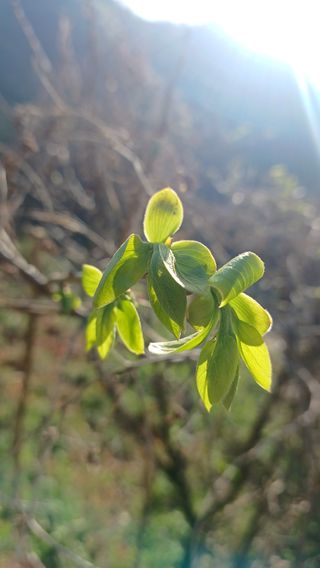 산골촌부님의 자유주제 · 자유게시판 작성글 사진