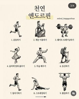 조한솔님의 자유주제 · 자유게시판 작성글 사진
