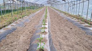 당진님의 자유주제 · 자유게시판 작성글 사진