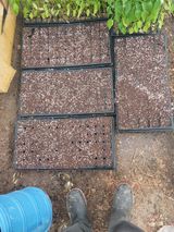 팜모닝 자유주제·자유게시판 게시글 이미지