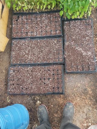 학사농원님의 자유주제·자유게시판 작성글 사진