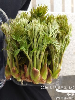 이유영님의 자유주제 · 자유게시판 작성글 사진