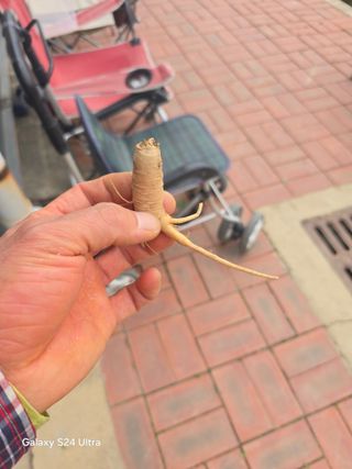 소병찬님의 농사, 무엇이든 물어보세요! · 참여글 작성글 사진