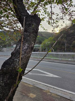김용대님의 자유주제 · 자유게시판 작성글 사진