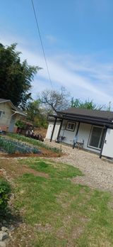 팜모닝 자유주제·자유게시판 게시글 이미지