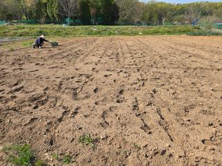 들꽃농장님의 자유주제 · 자유게시판 작성글 사진