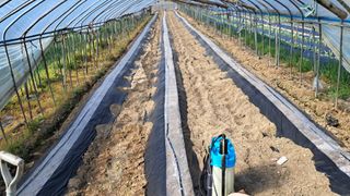 당진님의 자유주제 · 자유게시판 작성글 사진