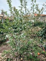 황금향님의 자유주제·자유게시판 작성글 사진