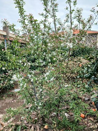 황금향님의 자유주제 · 자유게시판 작성글 사진