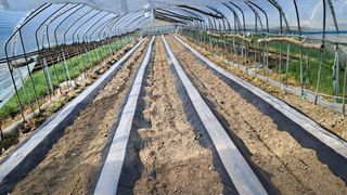 당진님의 자유주제 · 자유게시판 작성글 사진