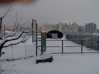 김종진 님의 자유주제 · 자유게시판 작성글 사진