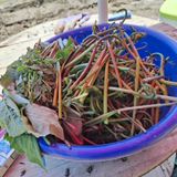 오영도님의 자유주제·자유게시판 작성글 사진