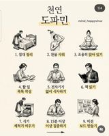 팜모닝 자유주제·자유게시판 게시글 이미지